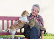 Thumbnail 3 of 11 - Park View at Woodlawn Senior Community for Adults 62 Years & Better