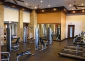 Thumbnail 13 of 33 - forney tx apartments