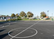 Thumbnail 11 of 18 - Basketball court at Brookwood at Bay Shore in Bay Shore, NY 11706