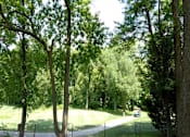 Thumbnail 32 of 40 - Tree lined pathways through the community at The Brook At Columbia Apartments, Columbia