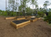 Thumbnail 18 of 20 - Cassie Gardens Garden Boxes