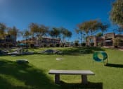 Thumbnail 13 of 13 - Pet-Friendly Park at Residences at FortyTwo25, Arizona