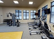 Thumbnail 21 of 40 - treadmill, eliptical, bike, weight machine
