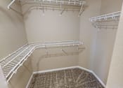 Thumbnail 8 of 23 - closet, shelves