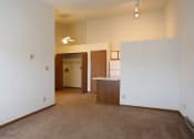Thumbnail 8 of 18 - Image of a carpeted room and kitchen