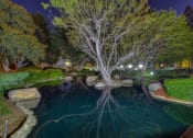 Thumbnail 14 of 43 - Night view of waterways at LAKE DIANNE, California, 92705