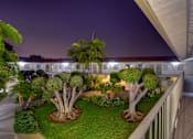 Thumbnail 3 of 11 - Garden with trees and palm trees at night