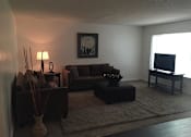 Thumbnail 13 of 22 - Living Room at ETHAN TERRACE, Sacramento California