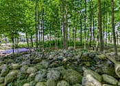 Thumbnail 40 of 45 - Meditation Garden at Aspen Lakes
