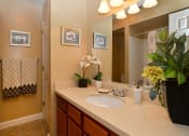 Thumbnail 8 of 13 - Bathroom with a sink and mirror at Broadwater Apartments in St Petersburg, FL 33711