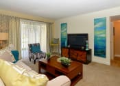 Thumbnail 2 of 13 - Living room with a tv and a couch at Broadwater Apartments in St Petersburg, FL 33711