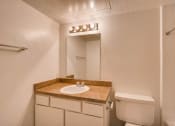 Thumbnail 16 of 32 - irving tx apartments
