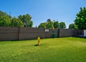 Thumbnail 9 of 20 - Park for Pet at Parc at 5 Apartments, Downey, California