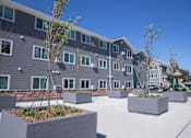Thumbnail 18 of 18 - courtyard