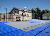 Thumbnail 17 of 18 - basektball court