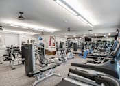 Thumbnail 33 of 54 - Fitness Center at Palms at Magnolia Park in Riverview, FL