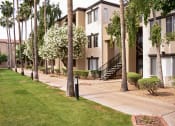 Thumbnail 3 of 26 - Tree lined sidewalk in front of apartments facing pool are and courtyard