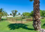 Thumbnail 16 of 34 - A palm tree stands next to a chain link fence in a grassy area at Reflections at Red Mountain Apartments, Arizona, 85213