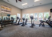 Thumbnail 16 of 25 - Club-quality Fitness Center at Champion Farms Apartments, Louisville, KY, 40241