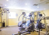 Thumbnail 12 of 15 - gym equipment fitness center at Northlake Farms Apartments, Illinois 60031