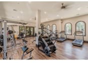 Thumbnail 19 of 40 - dallas tx apartments