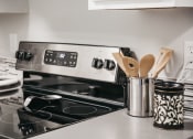 Thumbnail 6 of 41 - GoGo Heights Kitchen Stove