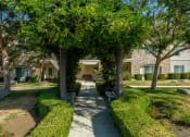 Thumbnail 7 of 30 - Courtyard Garden Space at Dartmouth Tower at Shaw, Clovis, CA