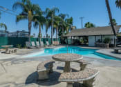 Thumbnail 5 of 16 - Swimming Pool With Relaxing Sundecks at Reef Apartments, California