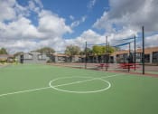 Thumbnail 17 of 18 - Soccer Field & Sport Court  at The Quinn at Westchase in Houston, Houston, Texas