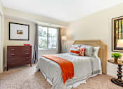 Thumbnail 24 of 39 - Comfortable Bedroom With Large Window at Annapolis Roads, Annapolis, MD, 21403