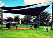 Thumbnail 30 of 45 - Picnic Area And BBQ at Avenues at Tuscan Lakes, League City, TX
