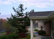 Thumbnail 4 of 6