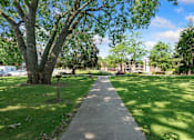 Thumbnail 21 of 21 - A walkway leads through a park with a large tree on the left at Humboldt Senior 55+ Apartments, Saint Paul, Minnesota
