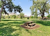 Thumbnail 2 of 14 - Picnic Area at Miners Mesa Apartments, Golden, CO