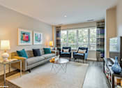 Thumbnail 3 of 36 - Large Windows
