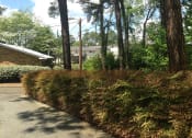 Thumbnail 15 of 15