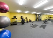 Thumbnail 16 of 32 - Fitness Center With Yoga/Stretch Area at 735 Truman, Hyde Park, Massachusetts