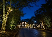 Thumbnail 47 of 48 - Evening driveway with illuminated trees and string lights at Nalle Woods of Westlake Apartments, Texas