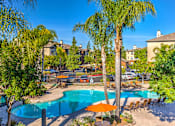 Thumbnail 44 of 46 - Resort Style Pool and Spa