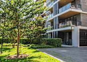 Thumbnail 7 of 17 - A tree is in front of a building.