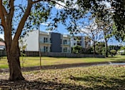 Thumbnail 2 of 6 - A tree in front of a white building with a fence.