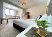 Thumbnail 7 of 12 - a bedroom with a large bed and a table with a potted plant