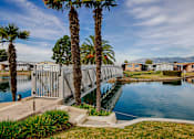 Thumbnail 5 of 6 - A bridge over a body of water with palm trees on either side.