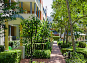 Thumbnail 12 of 32 - A pathway with green bushes on both sides.