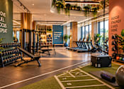 Thumbnail 4 of 6 - A gym with a green carpet and a sign that says "Good energy lives here".