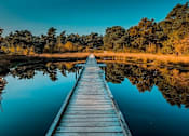 Thumbnail 5 of 112 - Beautiful Bridge