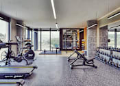 Thumbnail 5 of 17 - A gym with a variety of equipment including treadmills, weights, and exercise machines.