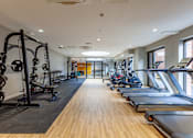 Thumbnail 7 of 36 - A gym with treadmills, weights, and exercise equipment.