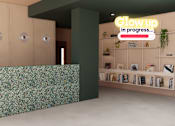 Thumbnail 10 of 21 - A room with a green wall and a shelf with books and plants.