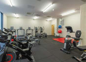 Thumbnail 10 of 50 - a spacious exercise room with cardio equipment and weights